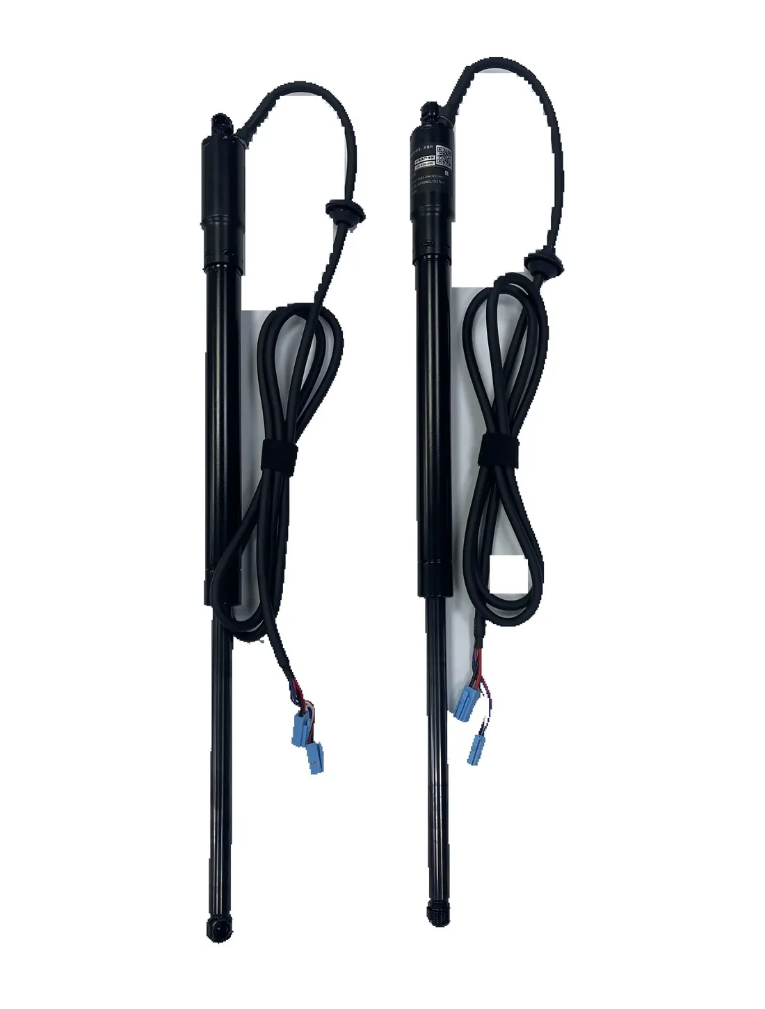 Dual-motor power liftgate struts